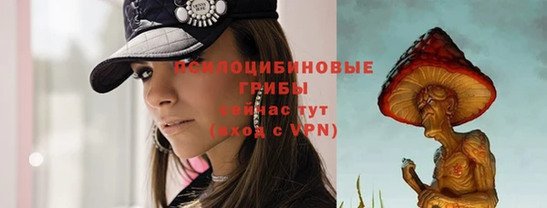 мескалин Богданович