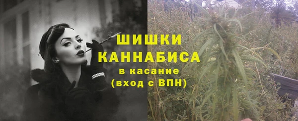 мескалин Богданович