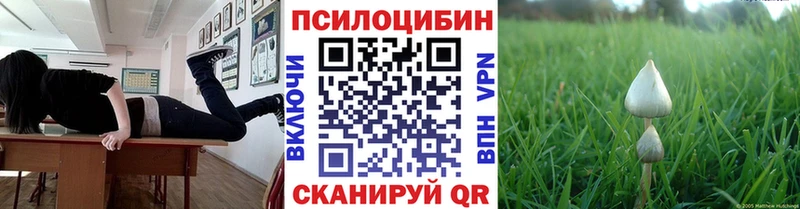 Псилоцибиновые грибы MAGIC MUSHROOMS  Гороховец 